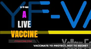 Unveiling the Truth: Is YF-VAX a Live Vaccine?