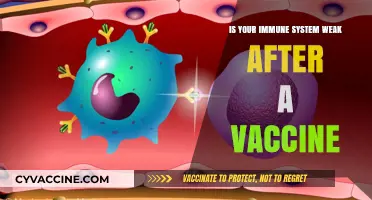 Does Vaccination Weaken Your Immune System? Separating Fact from Fiction