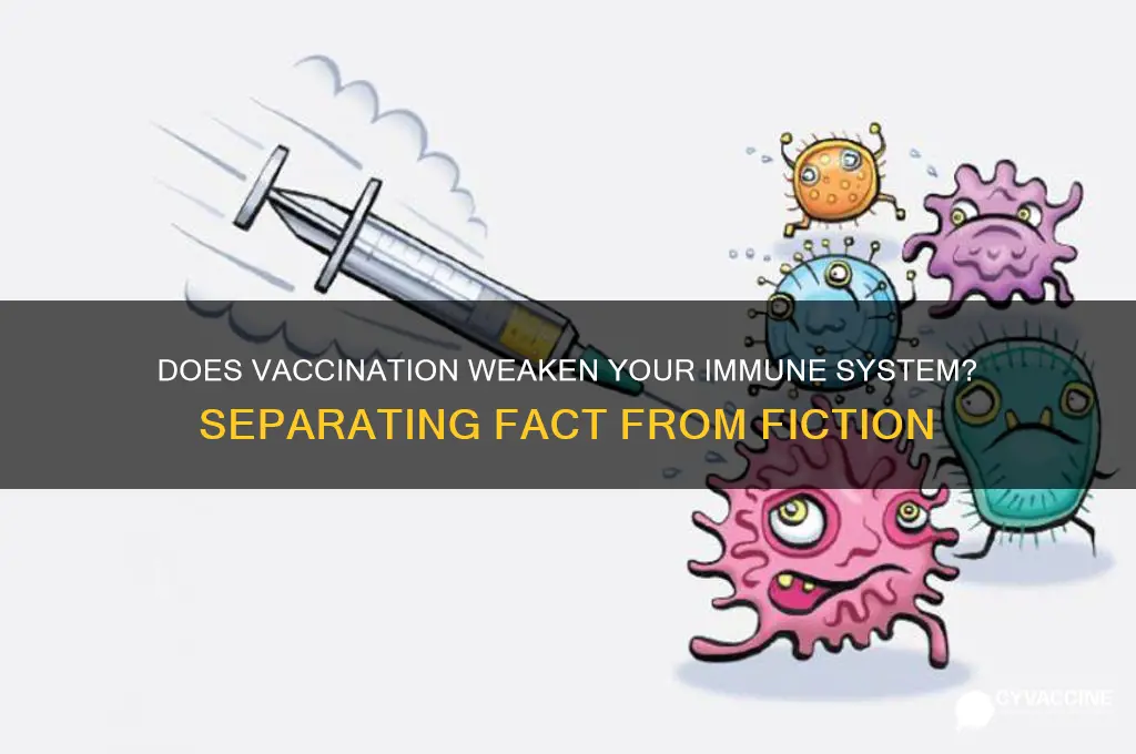 is your immune system weak after a vaccine