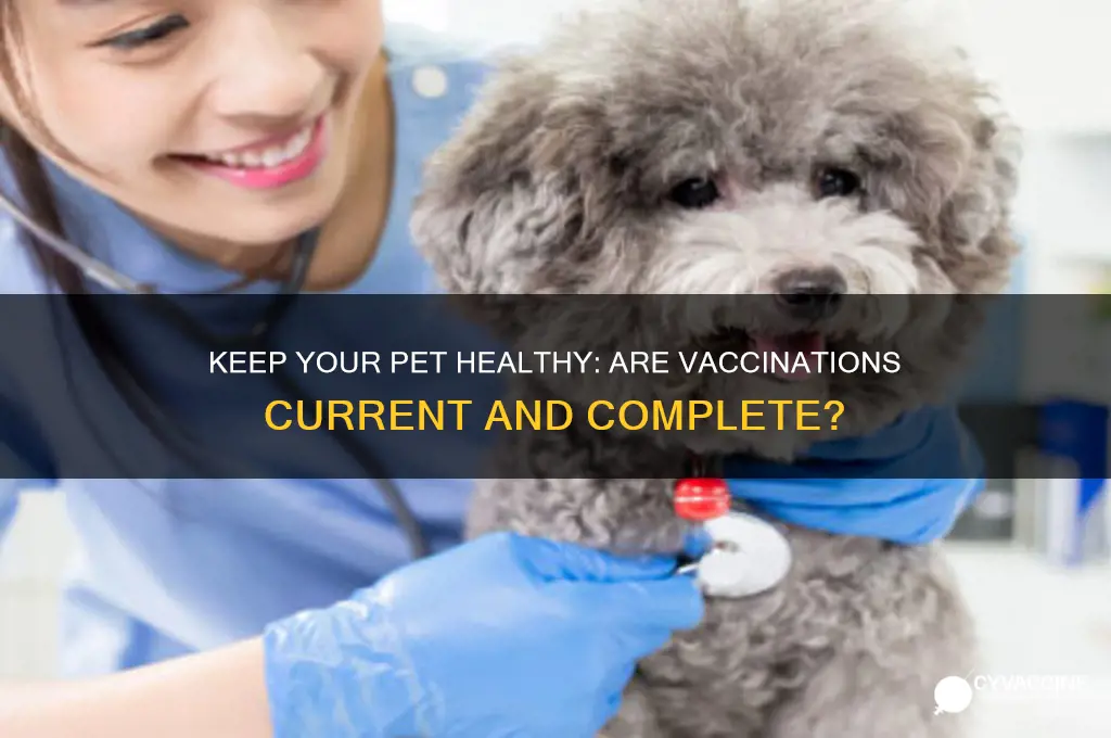 is your pet up-to-date on vaccinations
