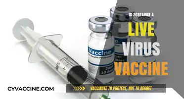 Understanding Zostavax: Is It a Live Virus Vaccine?