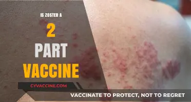 Understanding Zoster: The Truth About the Two-Part Vaccine