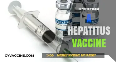Exploring the Facts: Zoster Vaccine and Hepatitis Prevention