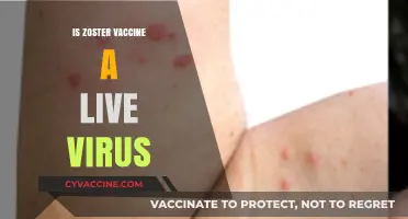 Unraveling the Mystery: Is the Zoster Vaccine a Live Virus?