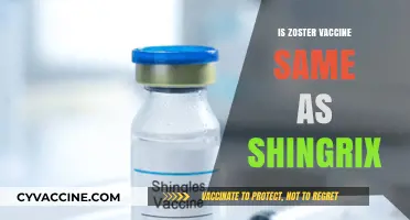 Exploring the Connection: Zoster Vaccine and Shingrix - Are They the Same?