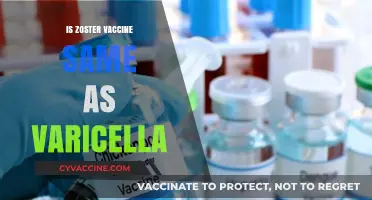 Unraveling the Differences: Zoster vs. Varicella Vaccines Explained