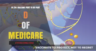 Understanding Medicare Coverage: Is ZVL Vaccine Part B or Part D?