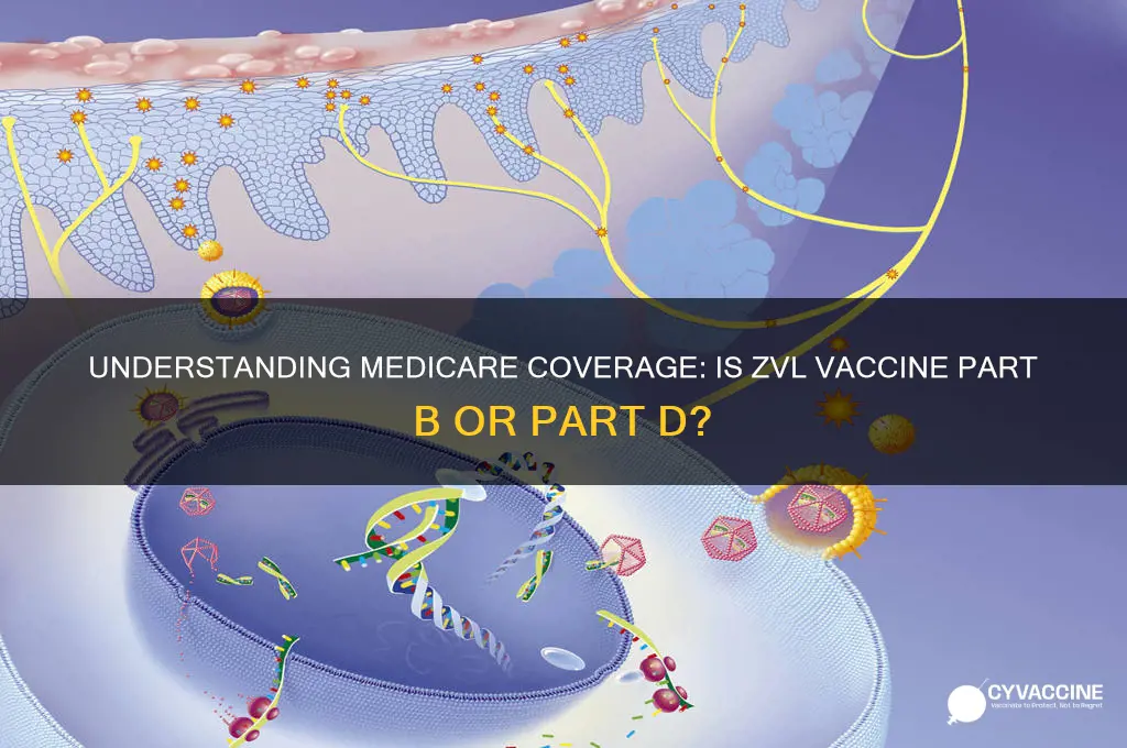 is zvl vaccine part b or part d of medicare