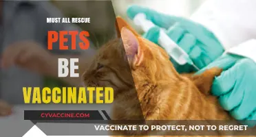Vaccinating Rescue Pets: A Crucial Step for Their Health and Happiness