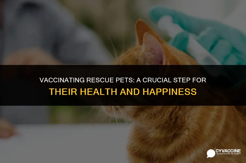 must all rescue pets be vaccinated