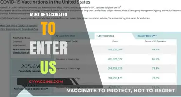 Vaccination Mandate: A Key to Reopening US Borders Safely