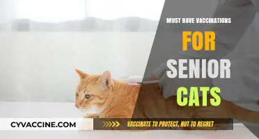 Essential Vaccinations for Senior Cats: Protecting Your Aging Feline Friend