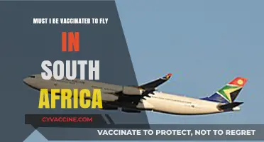 Flying in South Africa: Vaccination Requirements Explained for Travelers