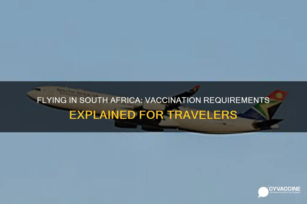 must i be vaccinated to fly in south africa