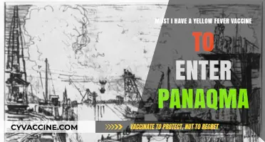 Yellow Fever Vaccine Requirement for Panama Entry: What You Need to Know