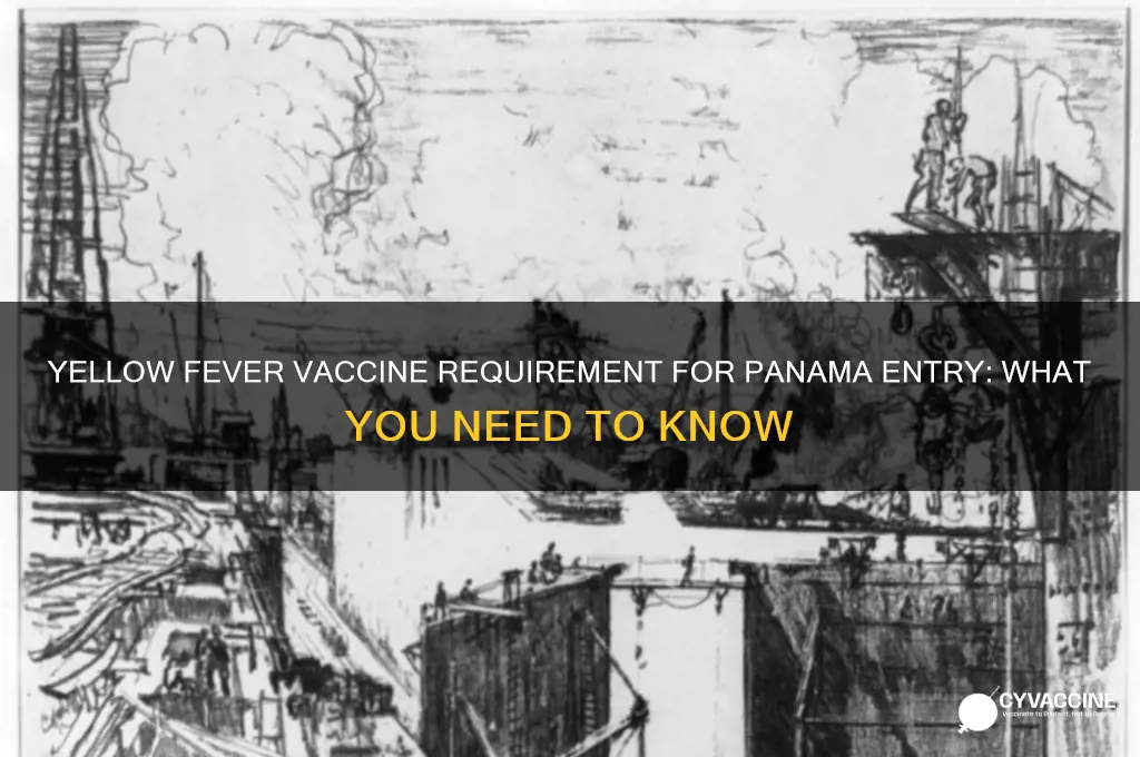 must i have a yellow fever vaccine to enter panaqma