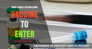 Yellow Fever Vaccine Requirements: Essential for International Travel?