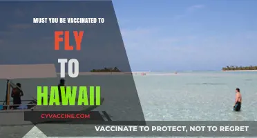 Flying to Hawaii: Vaccination Requirements and Travel Guidelines Explained