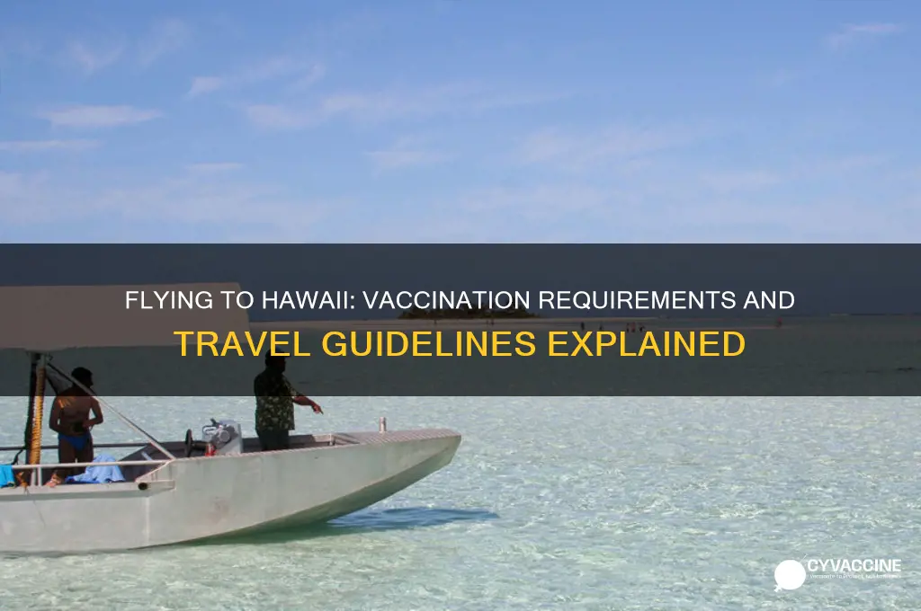 must you be vaccinated to fly to hawaii