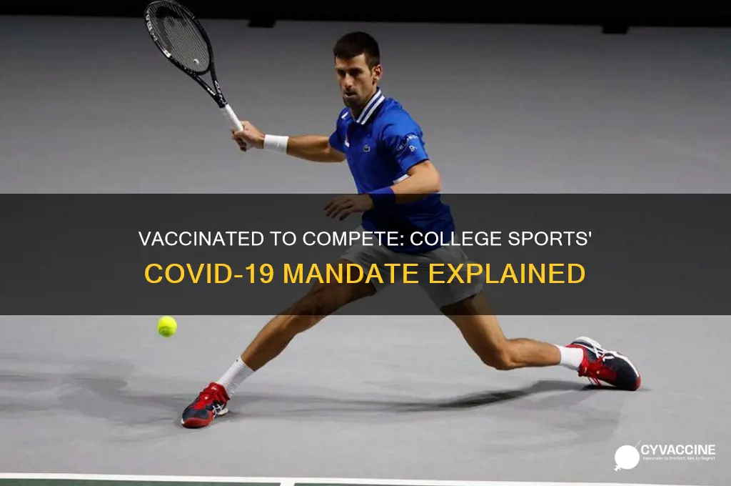 must you be vaccinated to play college sports