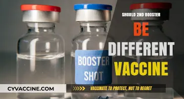 Exploring the Benefits of Mixing Vaccines for the Second Booster