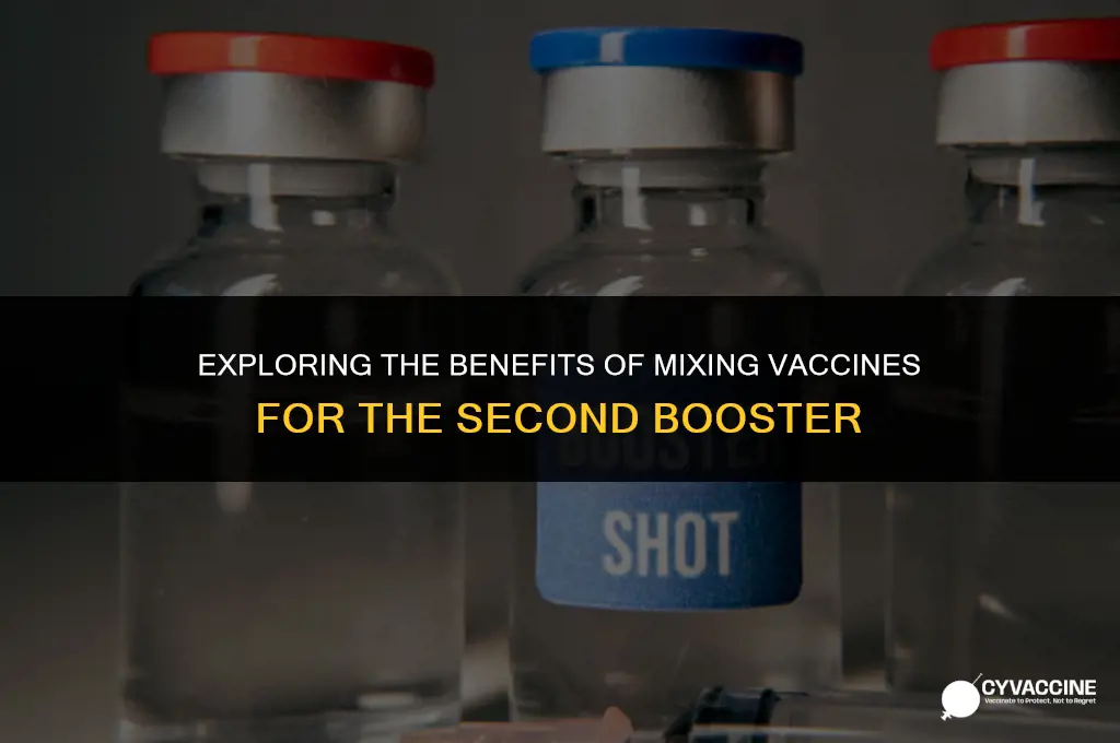 should 2nd booster be different vaccine