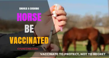 Vaccinating Cushing Horses: Weighing the Risks and Benefits