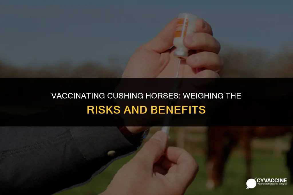 should a cushing horse be vaccinated