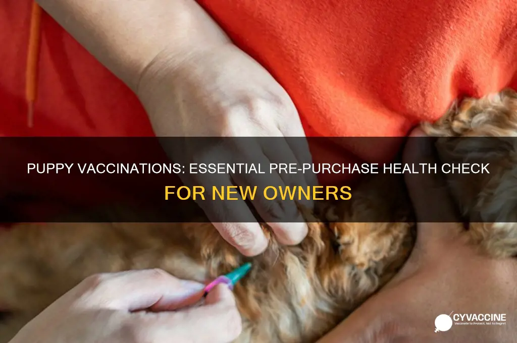 should a puppy be vaccinated before you buy it