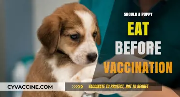 Pre-Vaccination Puppy Nutrition: What's Best for Your Furry Friend?