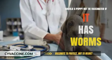 Puppy Health Dilemma: Vaccinate with Worms or Wait for Treatment?
