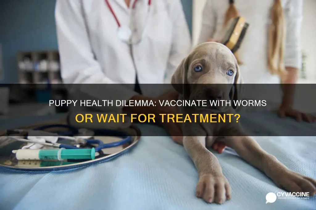 should a puppy not be vaccinated if it has worms