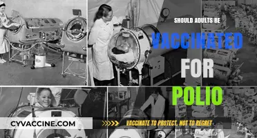 Polio Vaccination for Adults: A Necessary Precaution?