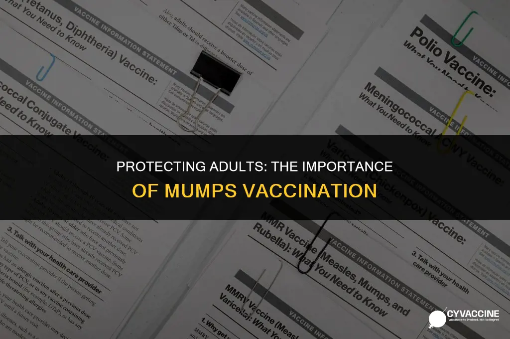 should adults be vaccine for mumps