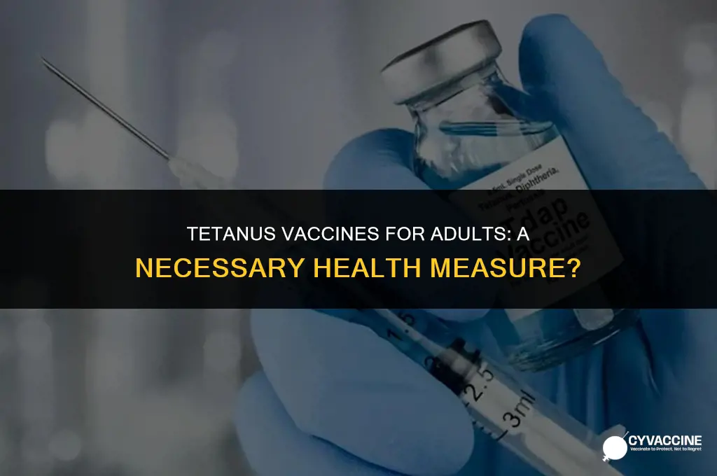 should adults have regular tetanus vaccines