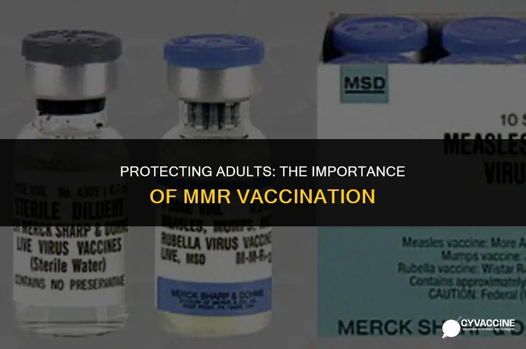should adults have the mmr vaccine