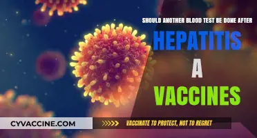 Post-Hepatitis A Vaccination: Is a Follow-Up Blood Test Necessary?