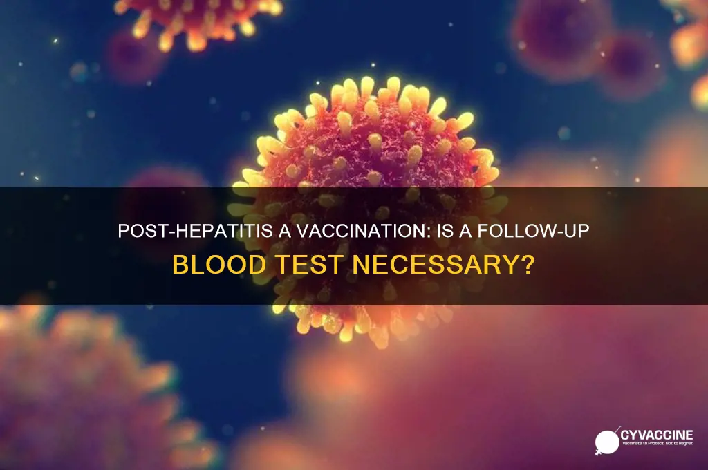 should another blood test be done after hepatitis a vaccines