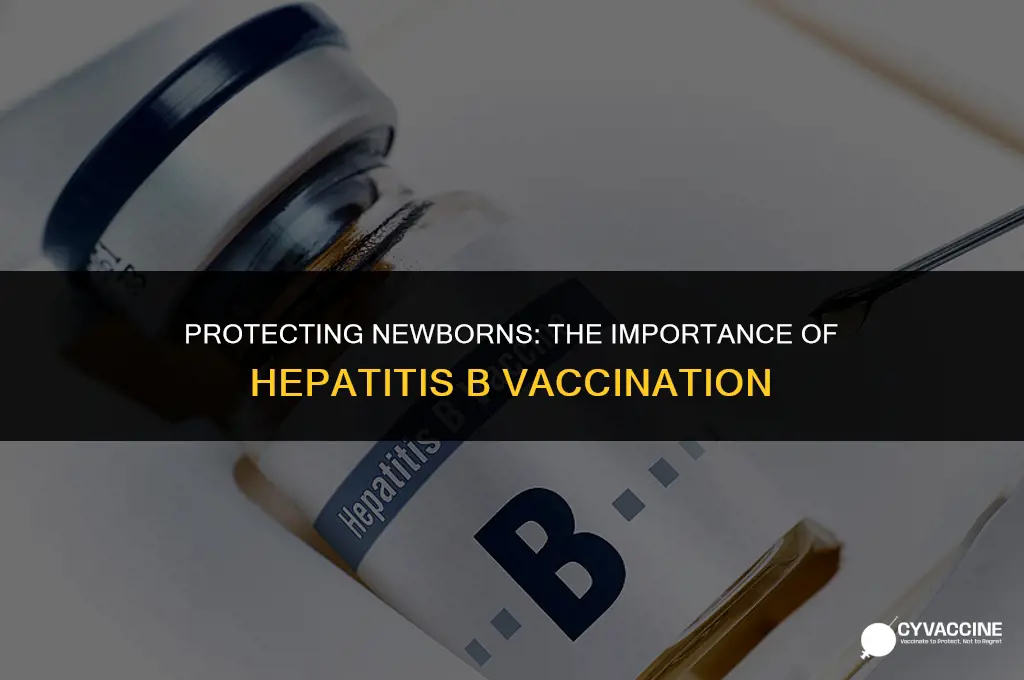 should babies have hep b vaccine