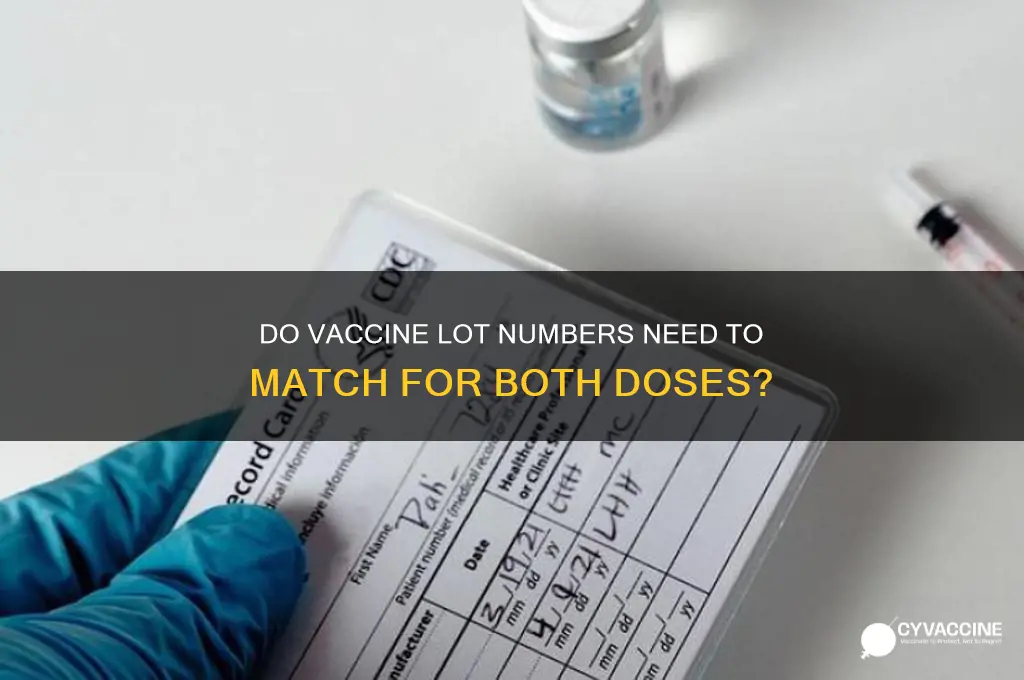 should both of your vaccine shave the same lot number
