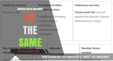 Should Both Vaccines Be the Same? A Comparative Analysis