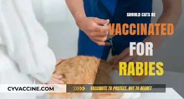Feline Rabies Vaccination: A Purr-fectly Necessary Preventative Measure?