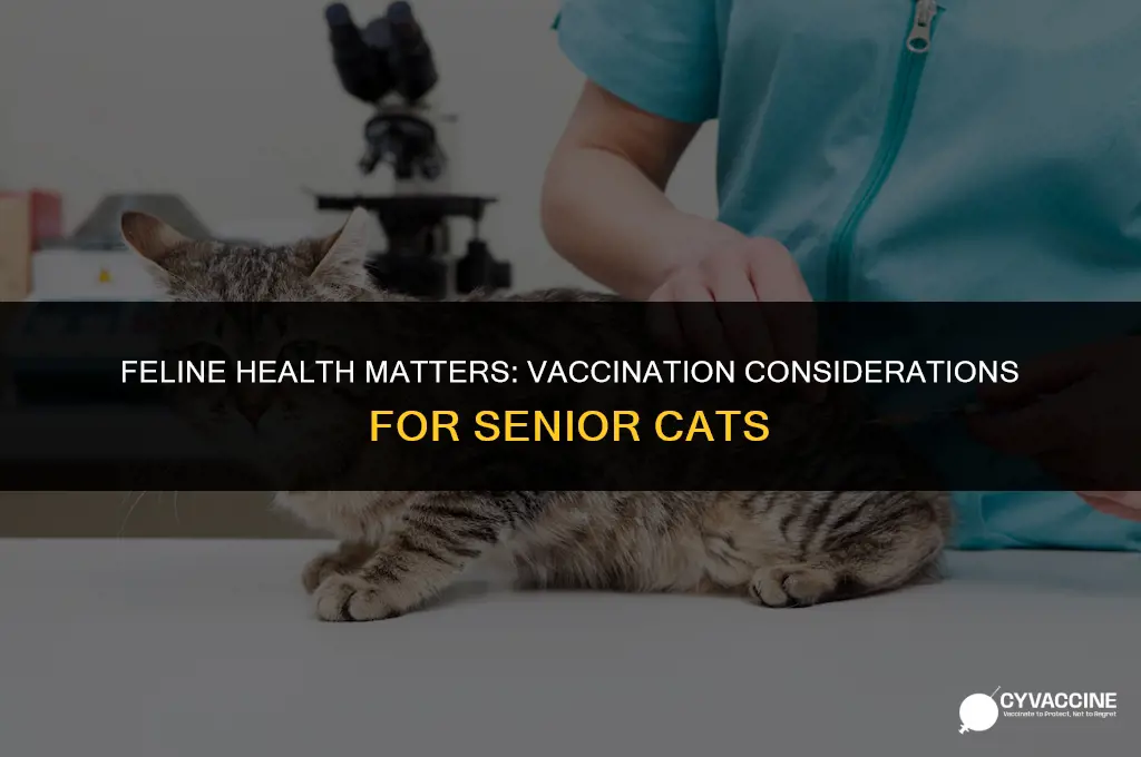 should cats over 10 be vaccinated