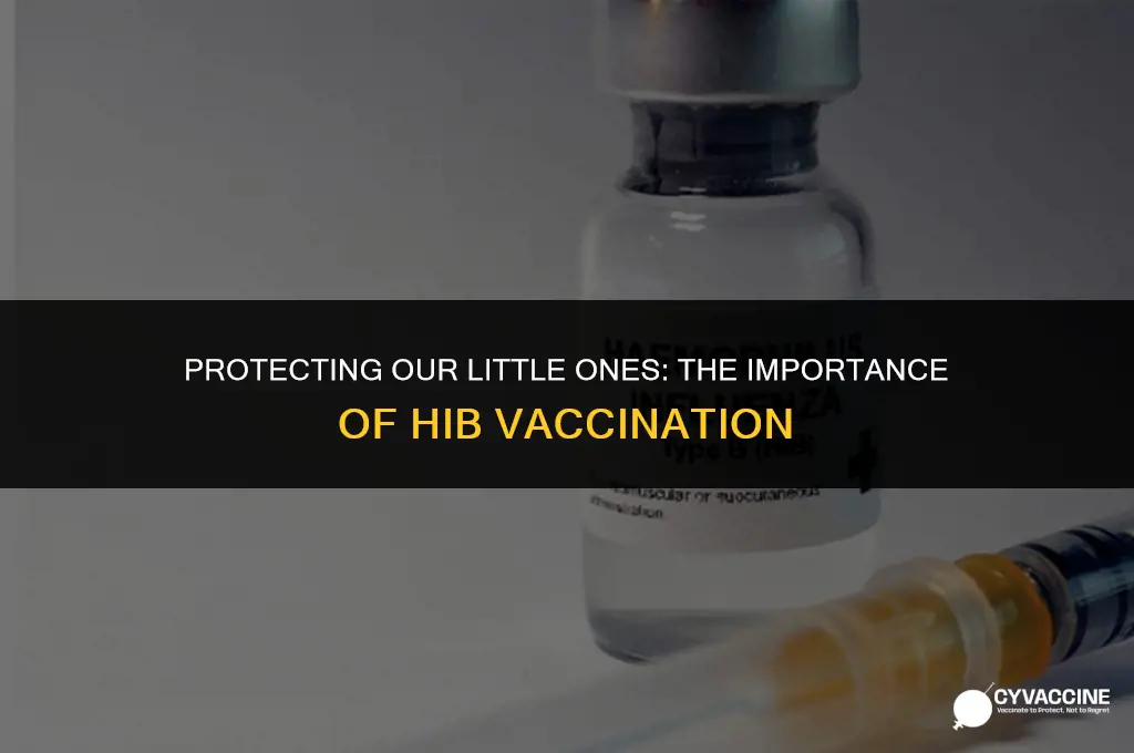 should children be vaccinated with hib