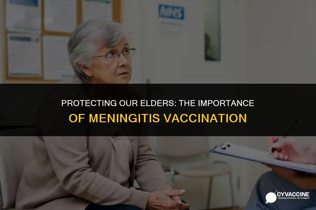 should elders be vaccinated from meningitis