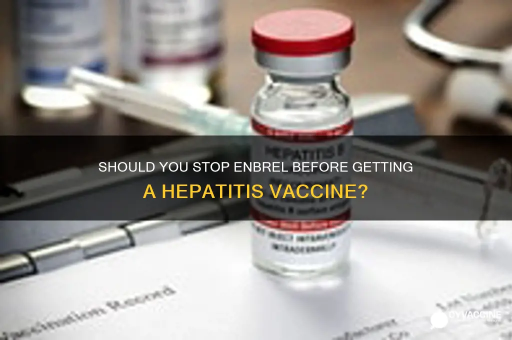 should enbrel be stopped before a hepatitis vaccine