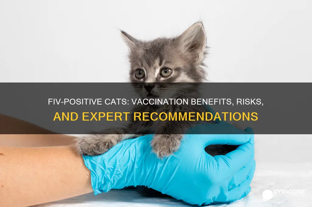 should fiv positive cats be vaccinated