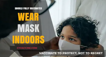 Masks Off or On? The Indoor Dilemma for the Fully Vaccinated