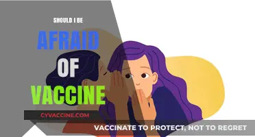 Debunking Vaccine Fears: A Comprehensive Guide to Understanding Immunization Safety
