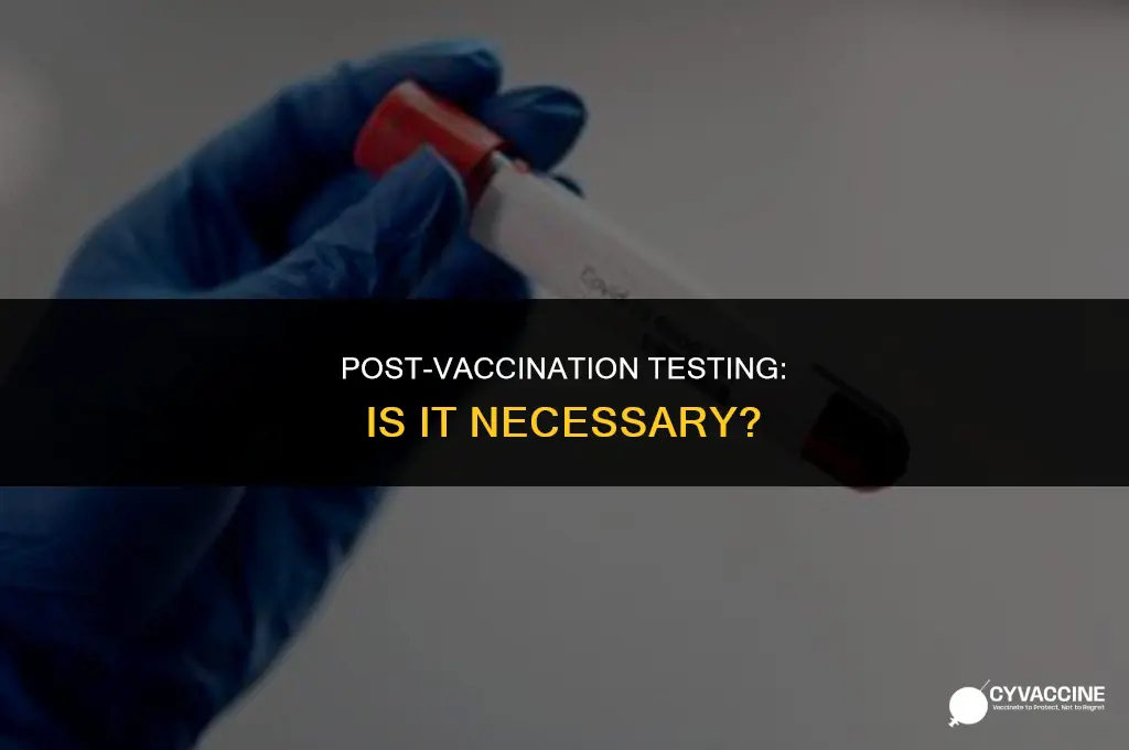 should i be tested after vaccination
